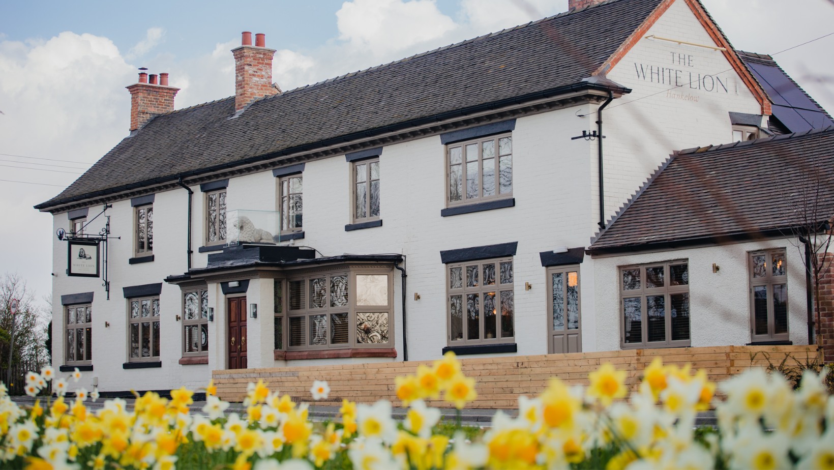 Front of the White Lion Hankelow with daffodils in bloom